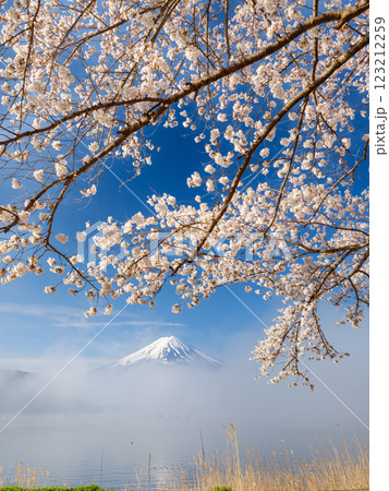 富士山_朝霧かかる河口湖と満開の桜の絶景風景 123212259