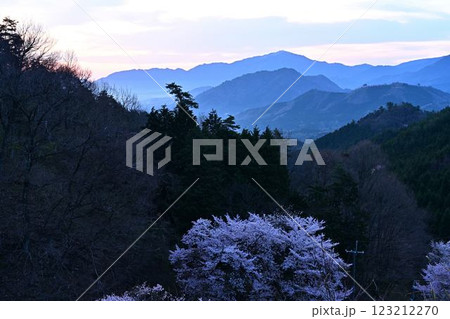 春の竹田城址 123212270