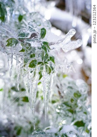 凍える世界 123212364