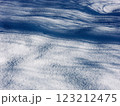 雪に映る影 123212475