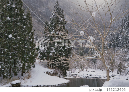 渓谷の雪景色　兵庫　赤西渓谷 123212493