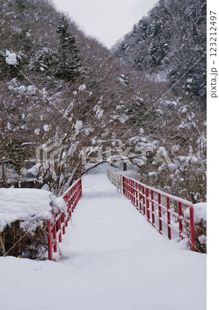 渓谷の雪景色　兵庫　赤西渓谷 123212497