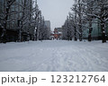 歴史的建造物と雪景色、札幌・旧北海道庁舎 123212764