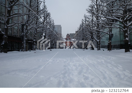 歴史的建造物と雪景色、札幌・旧北海道庁舎 歴史的建造物と雪景色、札幌・旧北海道庁舎 123212764