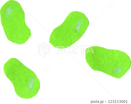 そら豆 そら豆 123213001