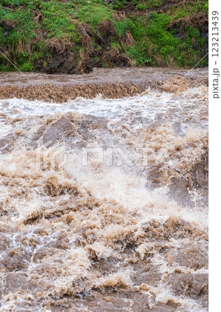濁流 濁流 123213439