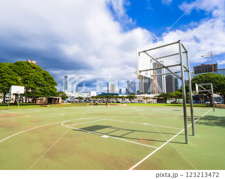 ホノルル　ダウンタウンの公園 123213472