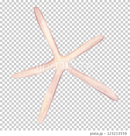 Starfish found on the beach Starfish found on the beach 123213559