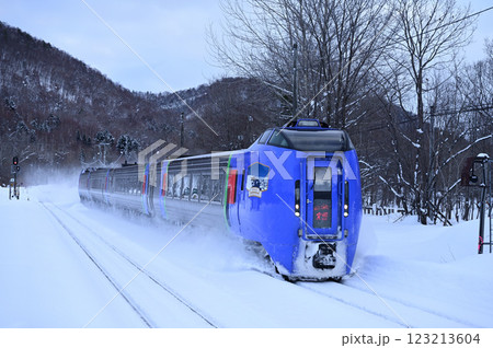 冬の石北本線を走る特急大雪 冬の石北本線を走る特急大雪 123213604