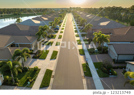 Expensive mansions between green palm trees in southwest Florida suburbs, USA. Aerial view of wealthy residential neighborhood 123213749