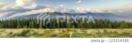Beautiful dramatic white clouds over mountains. Forest hills in Carpathian mountains. Ukraine. 123214188