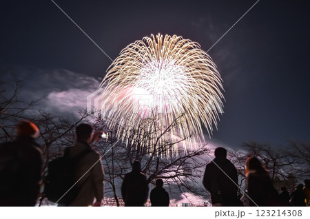 花火を見つめる人々　(十日町雪まつり 虹雪花火) 123214308