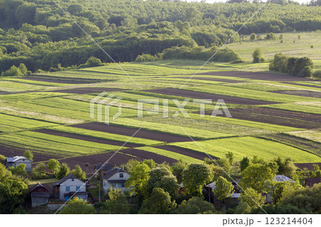 Aerial wide rural spring panorama of colorful rectangular plowed and green fields lit by sun surrounded by dense forest and village cottages between orchards. Beauty and harmony of nature concept. 123214404