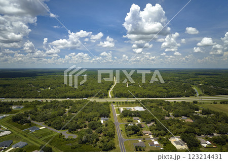 Aerial view of street traffic with driving cars in small town. American suburban landscape with private homes between green palm trees in Florida quiet residential area 123214431