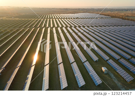 Aerial view of large sustainable electrical power plant with rows of solar photovoltaic panels for producing clean electric energy in evening. Concept of renewable electricity with zero emission 123214457