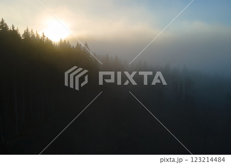 Aerial view of foggy evening over dark pine forest trees at bright sunset. Amazingl scenery of wild mountain woodland at dusk Aerial view of foggy evening over dark pine forest trees at bright sunset. Amazingl scenery of wild mountain woodland at dusk 123214484