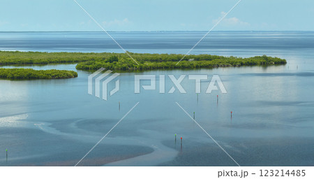Aerial view of Florida wetlands with green vegetation between ocean water inlets. Natural habitat of many tropical species 123214485