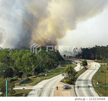 Aerial view of fire department firetrucks extinguishing wildfire burning severely in Florida jungle woods. Emergency service firemen trying to put down flames in forest Aerial view of fire department firetrucks extinguishing wildfire burning severely in Florida jungle woods. Emergency service firemen trying to put down flames in forest 123214488