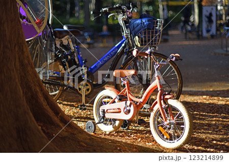 公園に置かれた自転車 公園に置かれた自転車 123214899