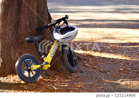 公園に置かれた自転車 公園に置かれた自転車 123214900
