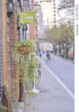 裏路地のかわいいカフェ 裏路地のかわいいカフェ 123214932