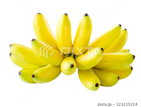 Fresh bunch of ripe yellow bananas 123215224