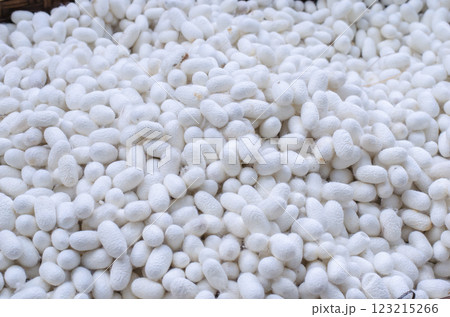 Silkworm cocoons in a woven basket Silkworm cocoons in a woven basket 123215266