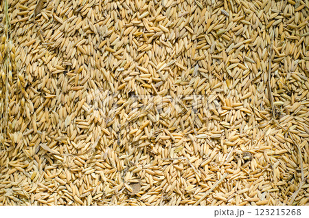 Grains scattered on a textured surface. 123215268