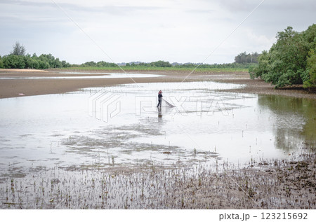 Lone figure wading through a tranquil wetland scene, Thailand, Rayong, Prasae Lone figure wading through a tranquil wetland scene, Thailand, Rayong, Prasae 123215692