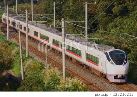 スマートな白い特急、E657系の走行風景 123216213