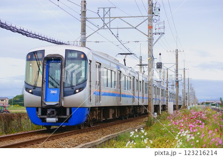 秋桜に彩られた西鉄特急・3000形 123216214