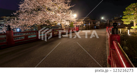 230412中橋夜桜z079-084-P 123216273