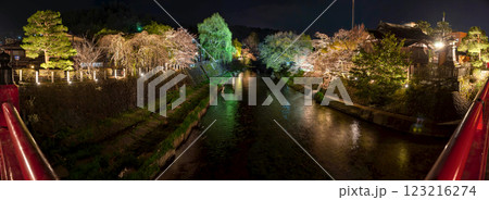 230412中橋夜桜z086-098-P 123216274