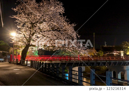 230412中橋夜桜z144 123216314