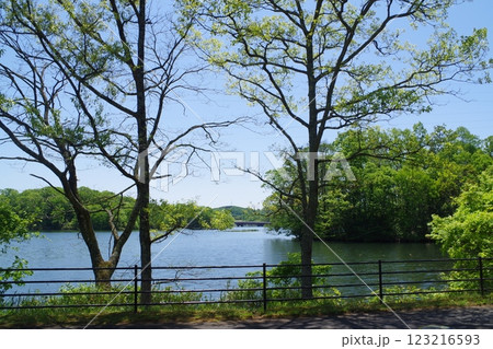 備北丘陵公園国兼池の景色 123216593