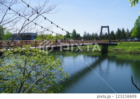 備北丘陵公園つどい橋の景色 123216609