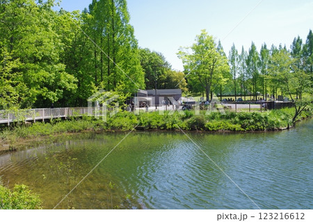 備北丘陵公園国兼池の景色 123216612