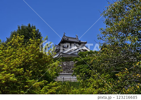 福知山城を見上げた 福知山城を見上げた 123216685