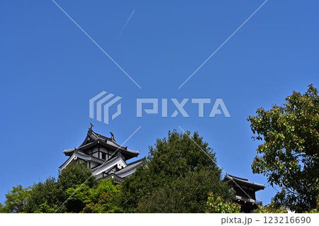 福知山城を見上げた 福知山城を見上げた 123216690