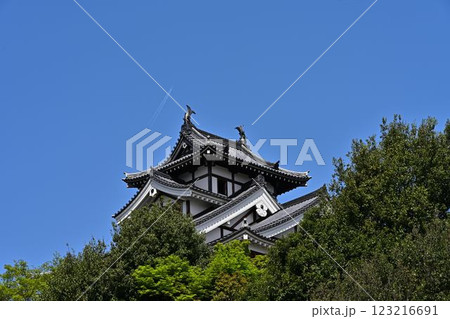 福知山城を見上げた 福知山城を見上げた 123216691