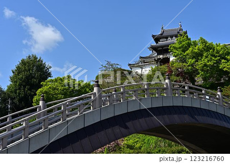 青空に映える福知山城 青空に映える福知山城 123216760