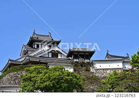 青空に映える福知山城 123216763
