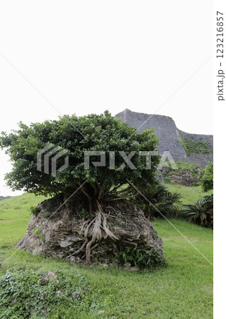 曇りの日の沖縄勝連城跡のウタミシガー　冬の沖縄旅行 123216857