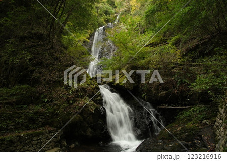 白猪の滝 下流(愛媛県東温市) 白猪の滝 下流(愛媛県東温市) 123216916