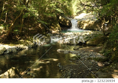 河津七滝(蛇滝) 河津七滝(蛇滝) 123216934