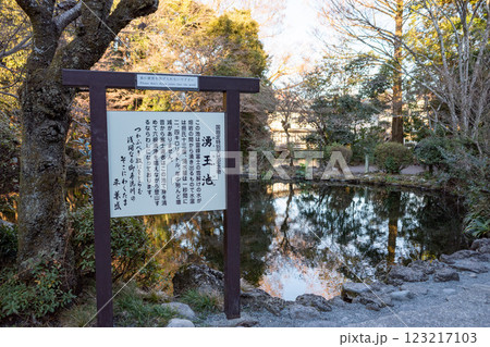 富士山本宮浅間大社湧玉池 富士山本宮浅間大社湧玉池 123217103