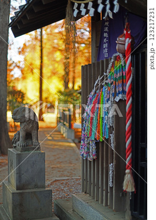 紅葉に包まれた神社の境内 紅葉に包まれた神社の境内 123217231