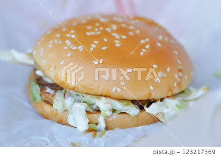 burger or beef burger or hamburger , cheese burger 123217369