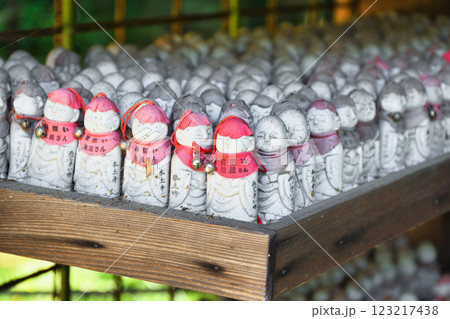 本土寺 美しい境内の風景(千葉県松戸市) 本土寺 美しい境内の風景(千葉県松戸市) 123217438