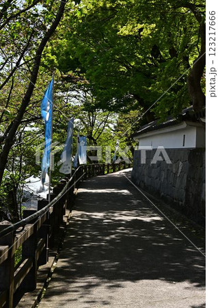春の福知山城 春の福知山城 123217666